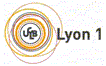 Lyon_1